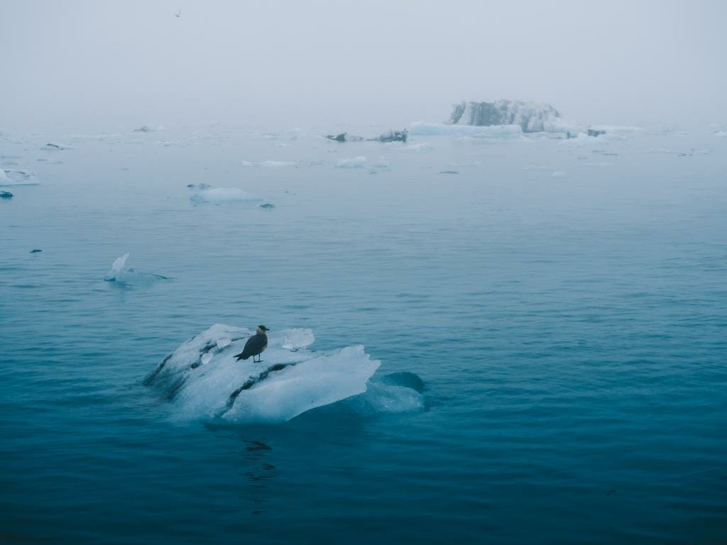 Psicoterapia: analogia inconscio-iceberg